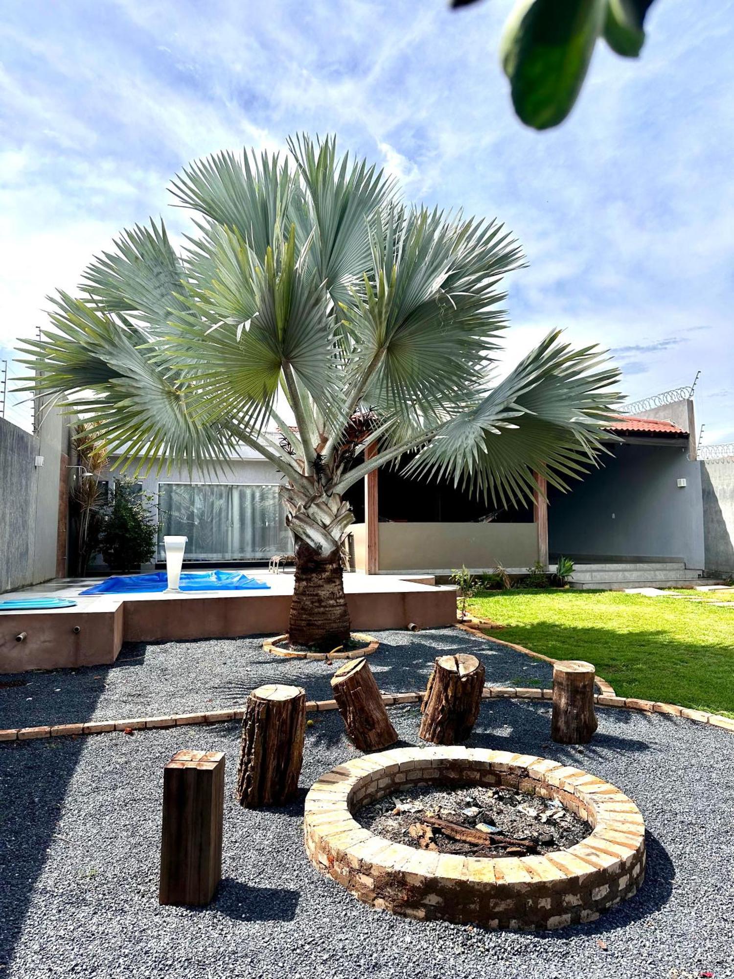 Rancho Palmeira